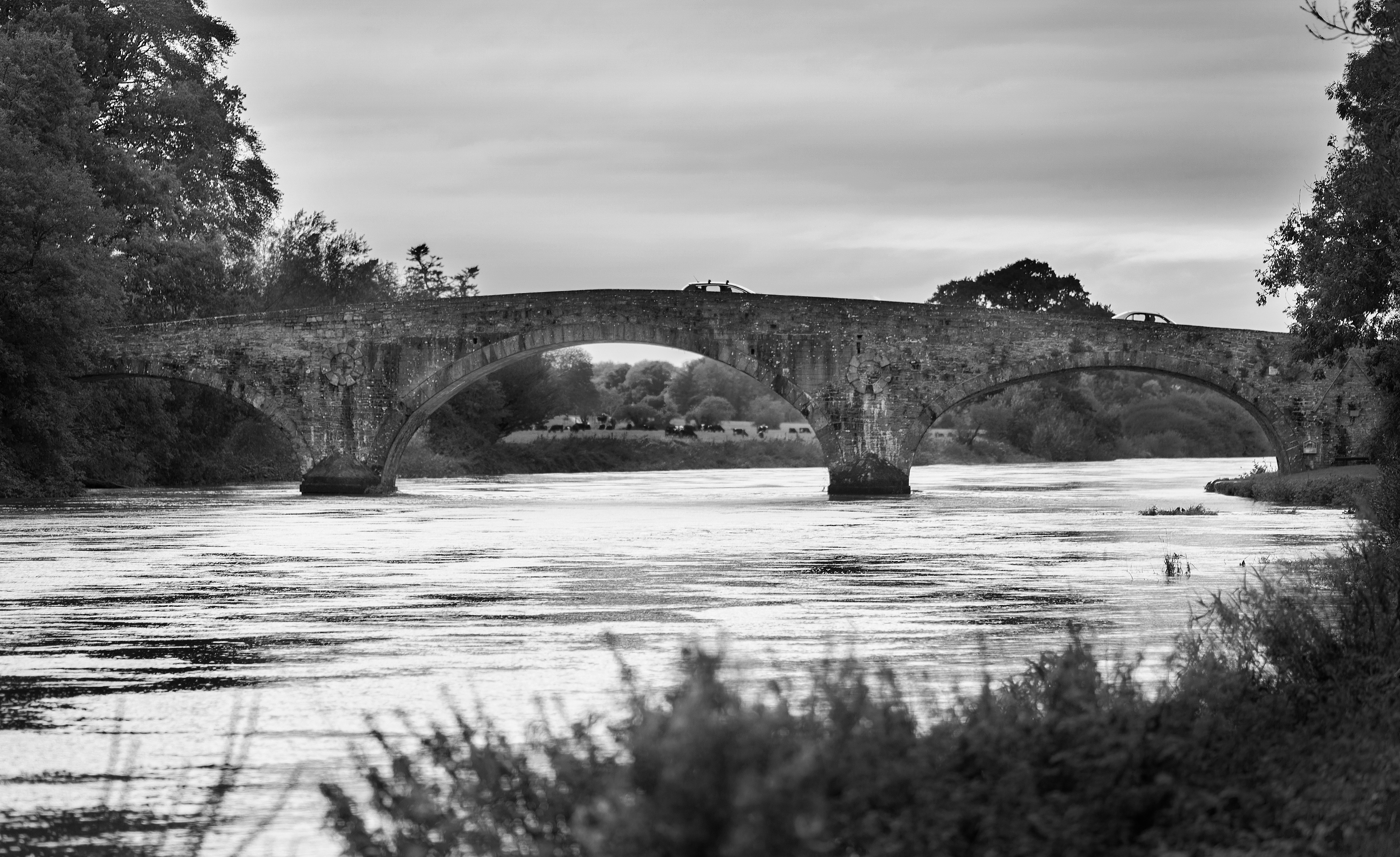 Black and white River Suir